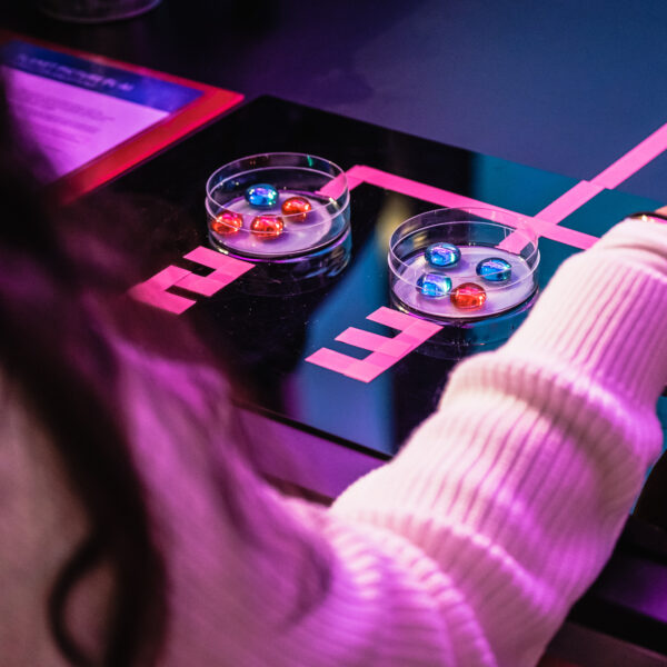 Einstieg Ins Thema Künstliche Intelligenz