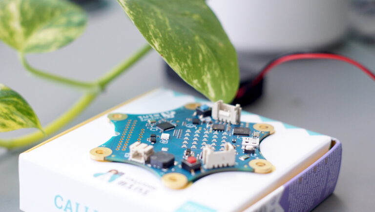 Froehlichepflanze Calliopemini