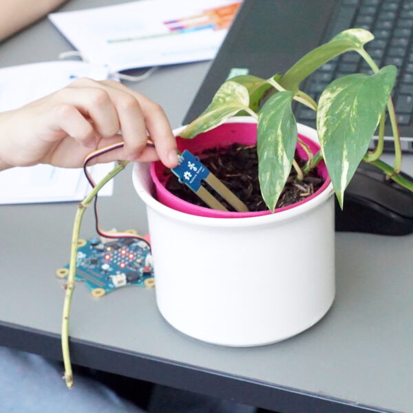 Code Für Deine Pflanze: Digital Pflegen, Analog Erleben!