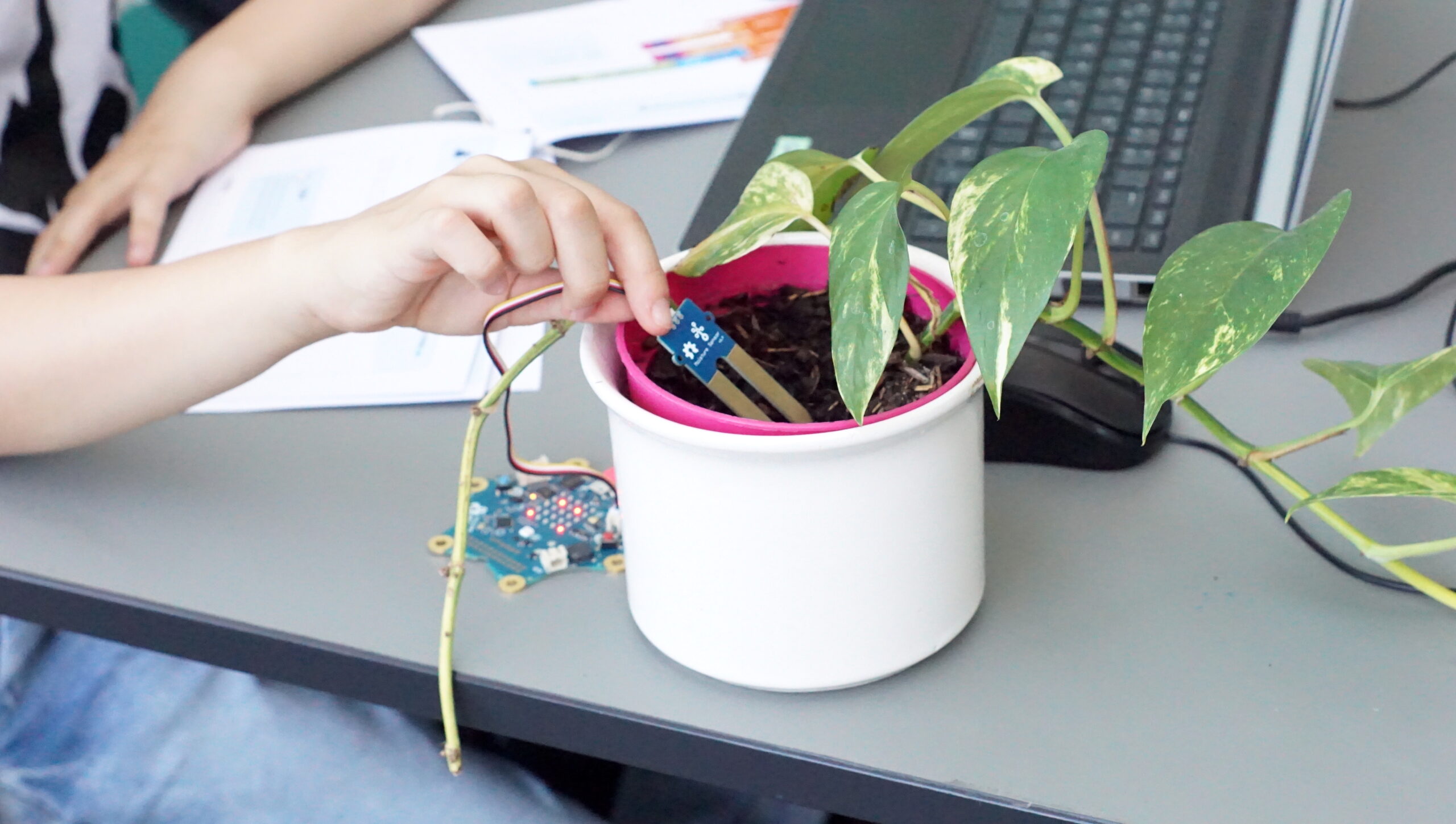 Image for Code für deine Pflanze: digital pflegen, analog erleben!