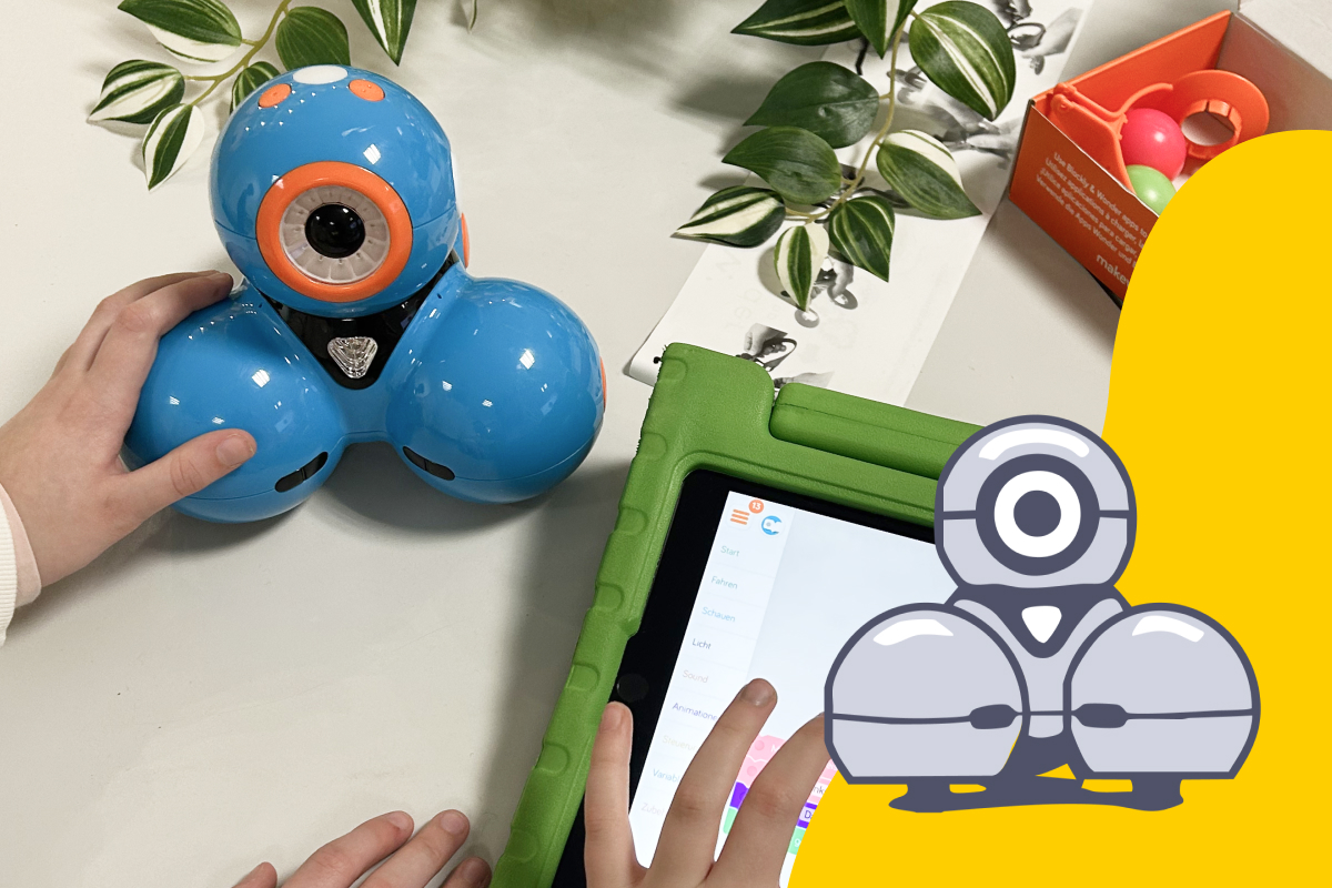 Kurskachel Grundlagen Dash 3