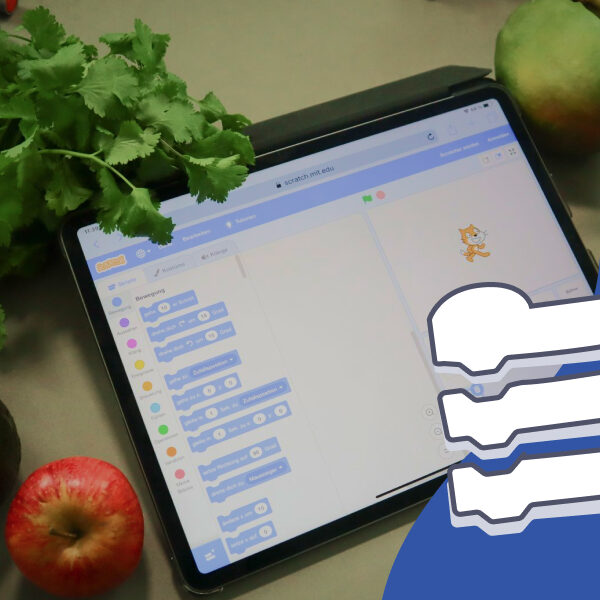 Tueftellab Kurskachel Konzept Scratch Klimafresser