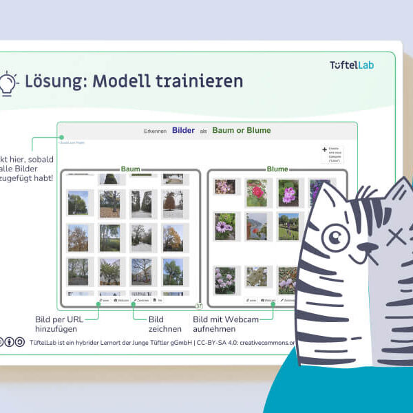 Tueftellab Kurskachel Lernmaterial Ki Machinelearningforkids Lernkarten Machinelearningforkidsgrundlagen